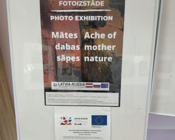 Zaļā palete manās mājās