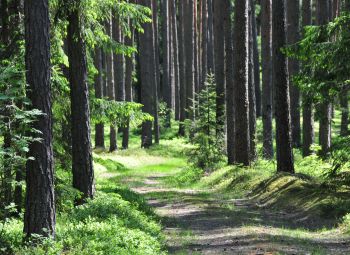 No 26. aprīļa noteikts ugunsnedrošā laikaposma sākums