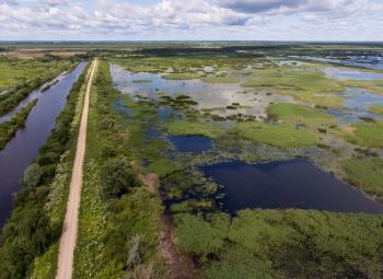 Tiek uzsākta dabas lieguma "Lubāna mitrājs"  dabas aizsardzības plāna izstrāde 